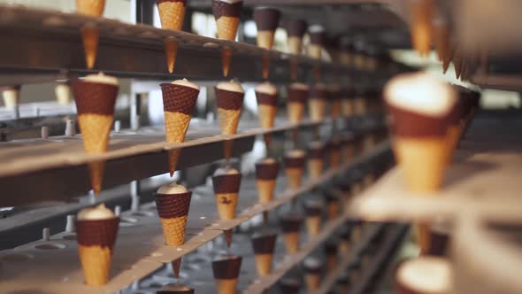 Ice Cream Production, Transportation Waffle-cone with Plombir Ice Cream on Production Line, Dairy