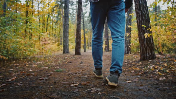 Close Up Following Shot of Male Legs Walking in Autumn Forest