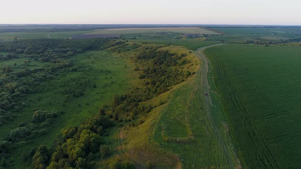 Aerial View Beautiful Landscape in Summer Drone Flying Over Field in Sunny Day