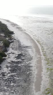 Vertical Video of Low Tide in the Ocean Near the Coast of Zanzibar Tanzania