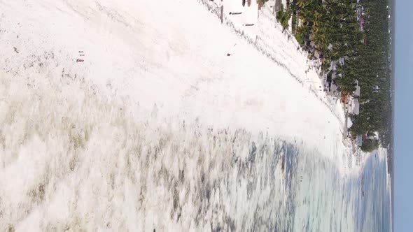 Zanzibar Tanzania  Vertical Video of Low Tide in the Ocean Near the Coast Slow Motion