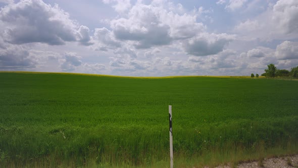 Asphalt road with lines on the background of a green field