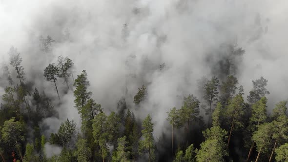 Top View of a Fire Erupted in the Forest