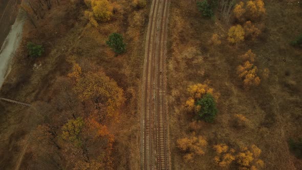 Aerial View of Trees Near Rail in Autumn Season