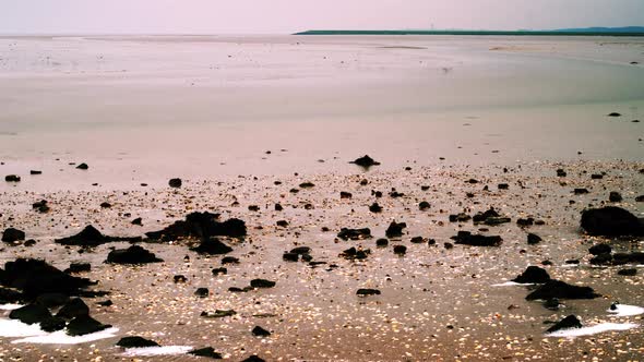 migratory waterbirds Wadden Sea intertidal meander outflow Sehaal Striep FAST