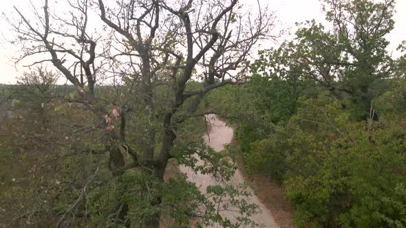 Aerial Shot of Young Sexy Sport Woman Rides Bicycle on Countryside Road Near Stone Quarry at Summer