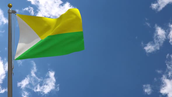 Puerto Carreno City Flag (Colombia) On Flagpole