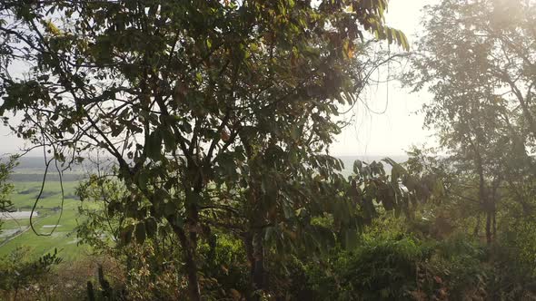 Cambodian Greenlands