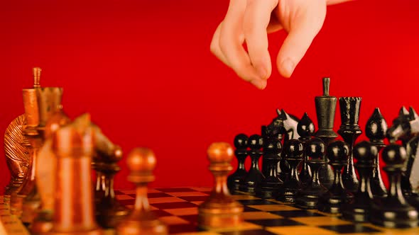 Close up of white and black wooden chess pieces on board.