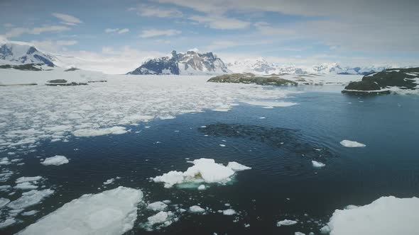 Antarctica Aerial Flight Over Swimming Penguins