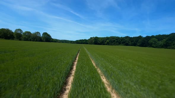 FPV DRONE SHOT - Flight close to the ground and line tracking