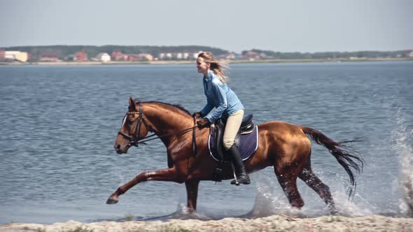 Fast Russian Don Horse Galloping on Water