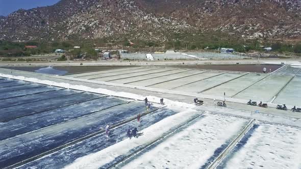 Workers Do Different Jobs on Salt Fields Under Sun