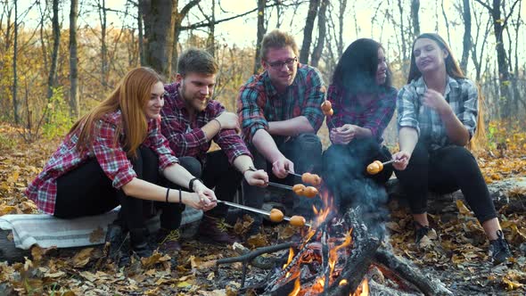 Multiracial tourists roasting sausages over campfire in forest