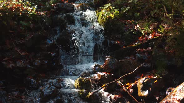 Splashing Creek is Falling Down From the Hill Among Colorful Fall Foliage