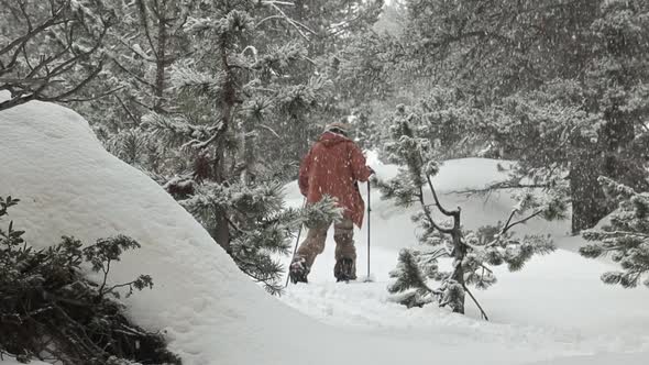 Slowmotion of a snowboarder going up in the middle of a forest with his splitboard while it snows.