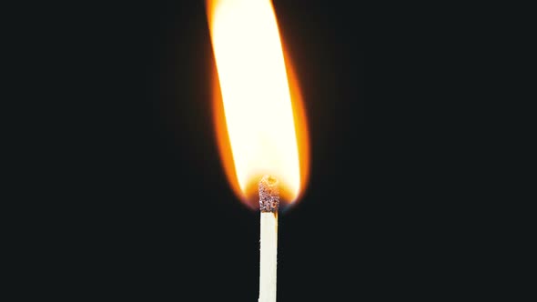 Igniting Match and Flame on a Black Background