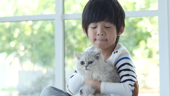 Cute Asian Child Hugging And Holding Kitten Slow Motion