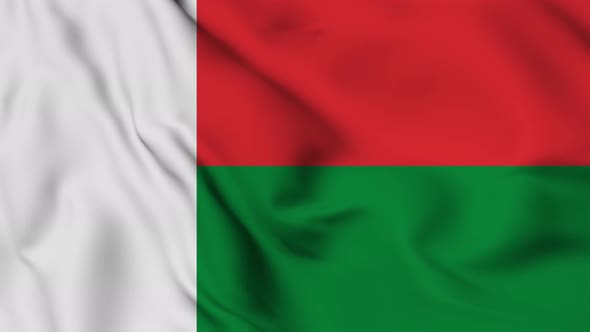 Madagascar flag seamless waving alt