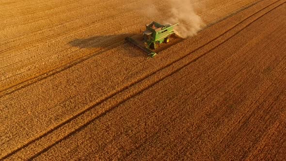 Combine Harvester in the Field.