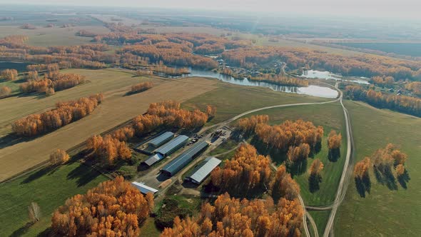 Aerial View of a Farm in a Village Surrounded By Autumn Forest Harvesting Hangar