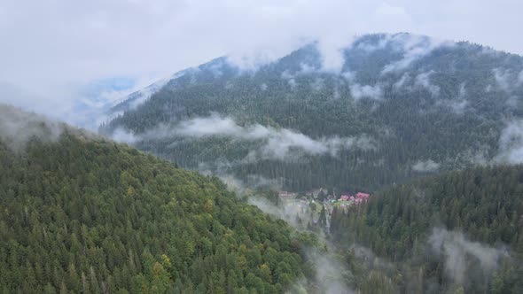 Fog in the Mountains
