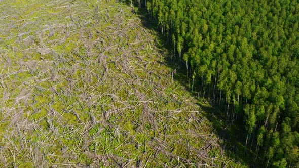 Deforestation Protection of Environment