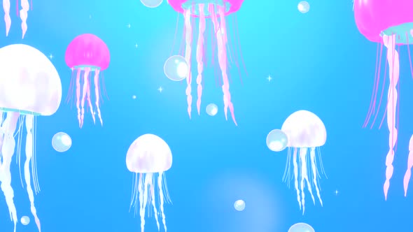 Jellyfish Underwater