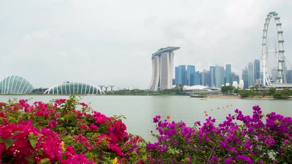 Singapore Cityscape with Flowers