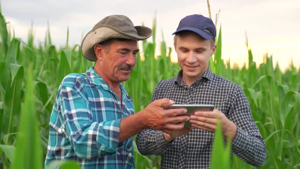 Farmers and Technology Two Farmers Stand in Corn Field