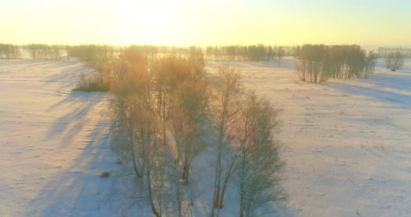 Aerial Drone View of Cold Winter Landscape with Arctic Field, Trees Covered with Frost Snow and