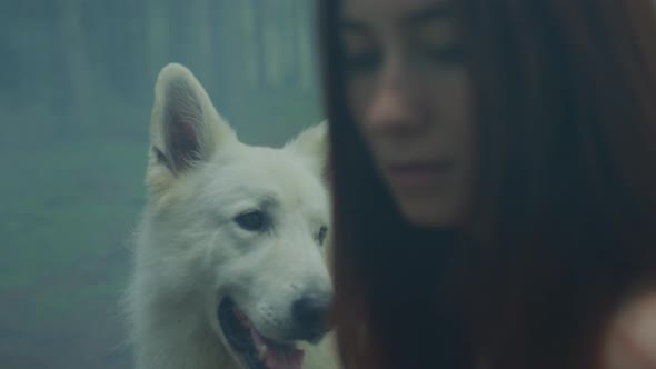 White dog and a girl