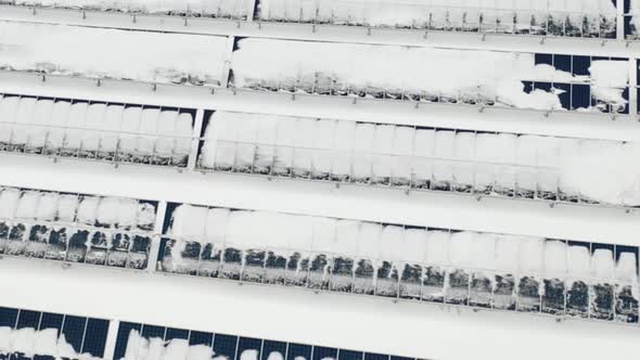 Flying Over the Farm Solar Panels in the Winter After the Cyclone. Panels Under the Snow.