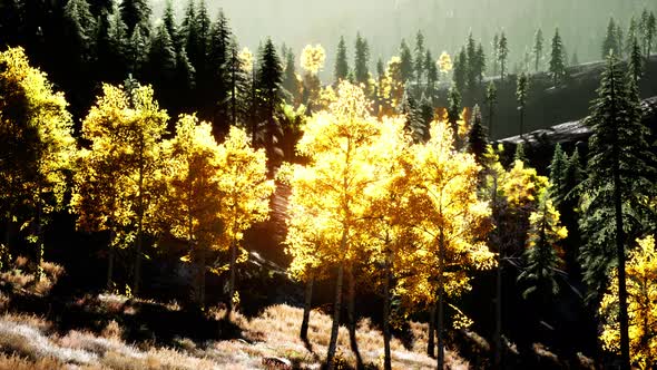 Bright Sunset in the Mountains