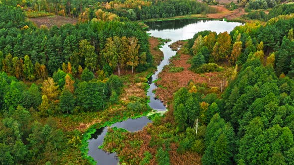 River and swamps in the autumn. Aerial view of wildlife.