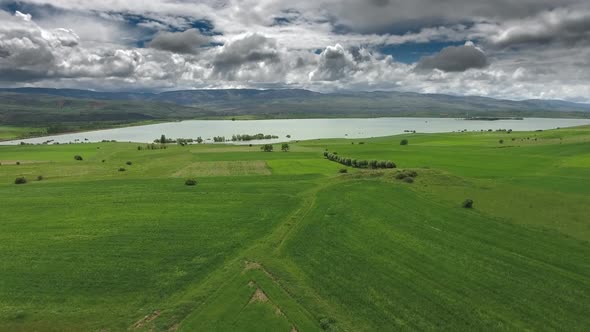 Green Meadows and Fields Around The Lake with Aerial View