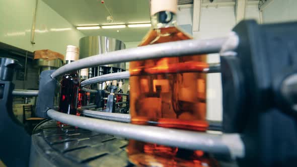 Conveyor Belt Is Transporting Bottles Filled with Alcoholic Liquid