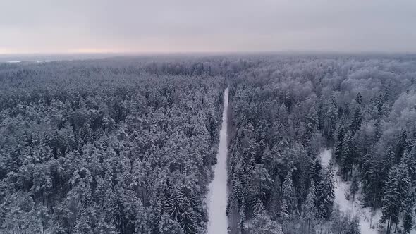 Aerial view of a snowy forest in Estonia