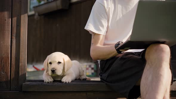 A Labrador Puppy Lying on the Terrace While His Owner is Working on a Laptop