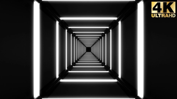 Neon Light Tunnels 7 Pack Loop alt