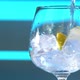Gin Tonic - VideoHive Item for Sale
