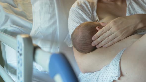 Mother Breastfeeds a Newborn in Maternity Hospital