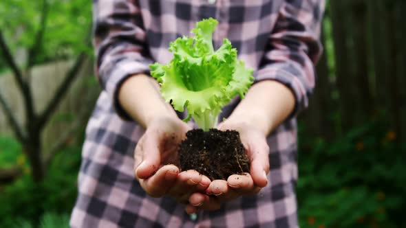 Woman holding a plant in her hand in the garden