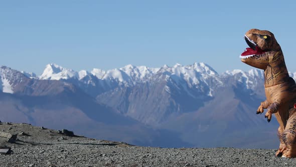 Big Dinosaur Doll with Person Inside Walking in Mountains in Sunny Summer Day.