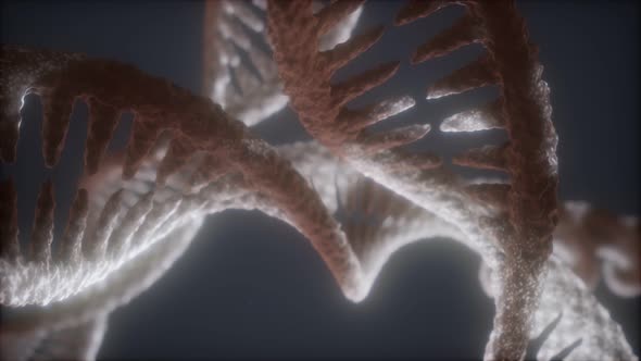 Loop Double Helical Structure of Dna Strand Close-up Animation alt