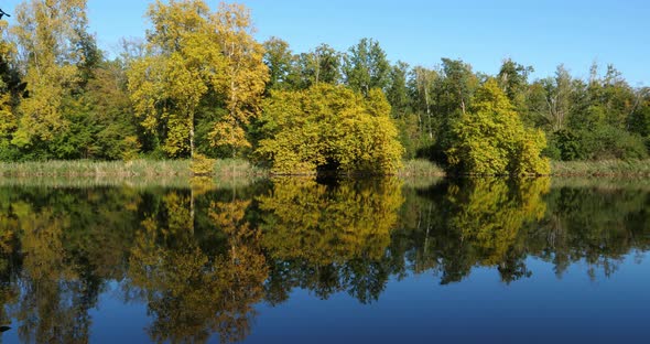 The pond Sainte Perine, Forest of Compiegne, Picardy, France.