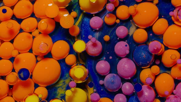 Bubbles Float in Liquid Paint Mixing Ink Oil and Milk Abstract Multicolor Hypnotic Painting