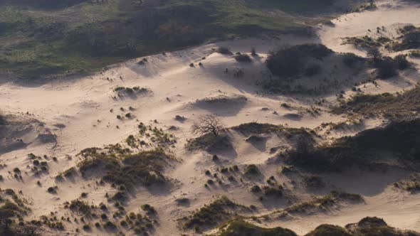 Sand dunes glowing in evening sunlight in semi arid desert in the Netherlands - aerial