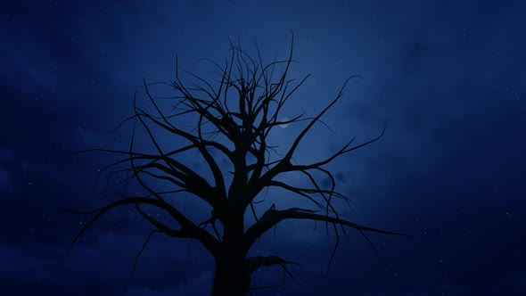 Horror Sky Night with Tree