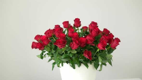 Red Roses